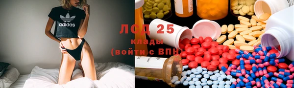 сатива Лагань