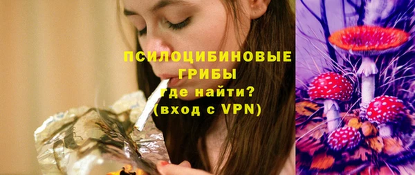 МДПВ Ладушкин
