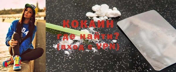 шишки Ростов