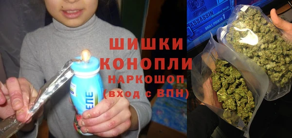 сатива Лагань
