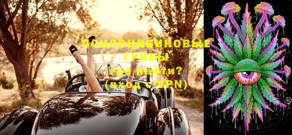 эйфоретик Лабытнанги