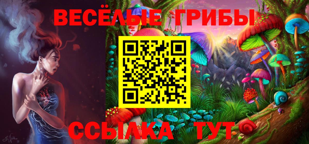 сколько стоит  Галлюциногенные грибы Psilocybine cubensis  Галлюциногенные грибы Magic Shrooms  Вход с VPN  Мурманск 