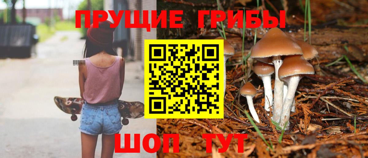 Галлюциногенные грибы GOLDEN TEACHER Мурманск