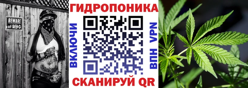 Конопля конопля Мурманск